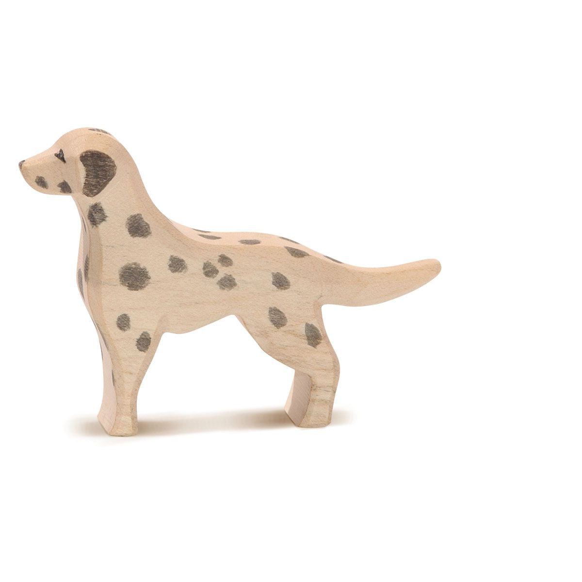 Dalmatiner, Ostheimer 10511