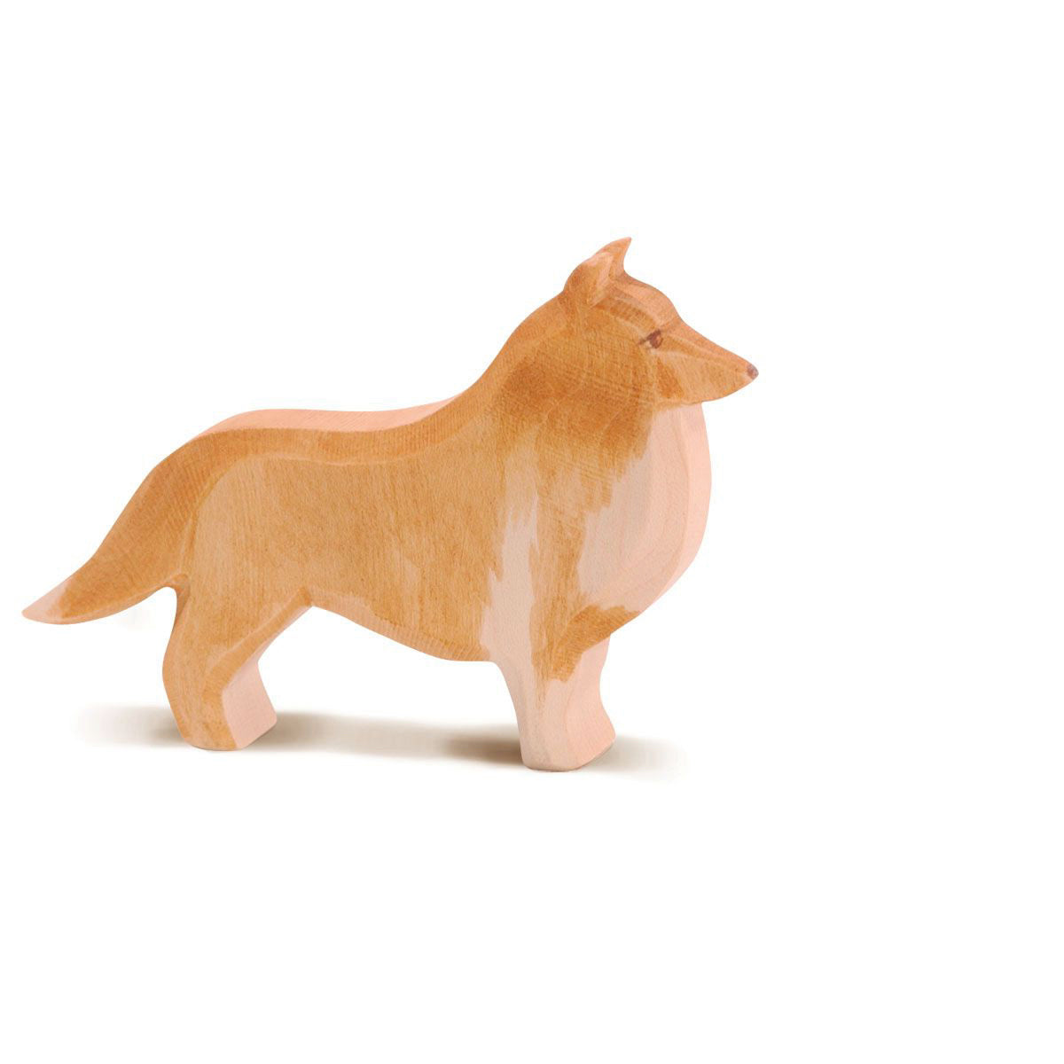 Collie, Ostheimer 10516