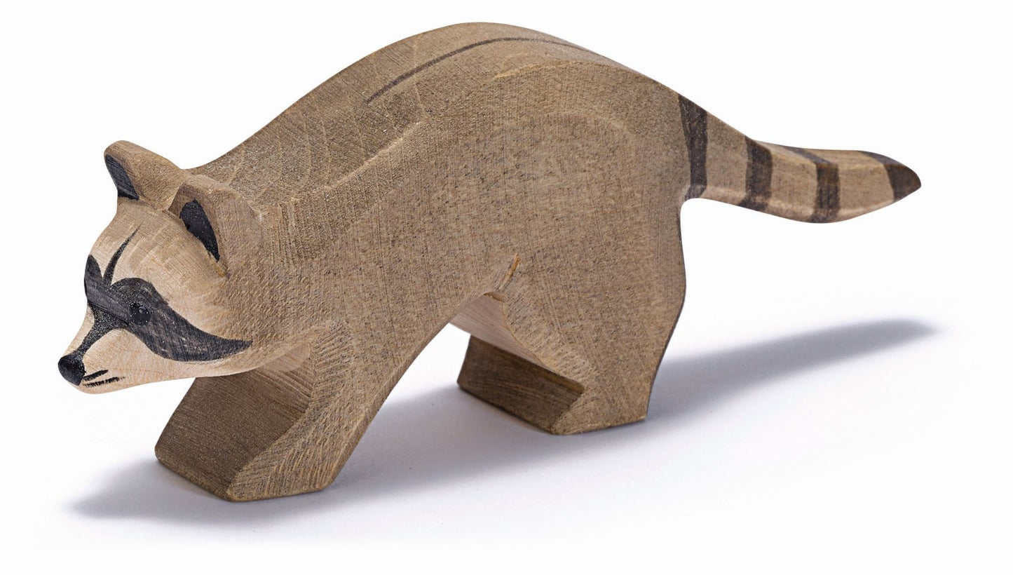 Waschbär laufend, Ostheimer 16272