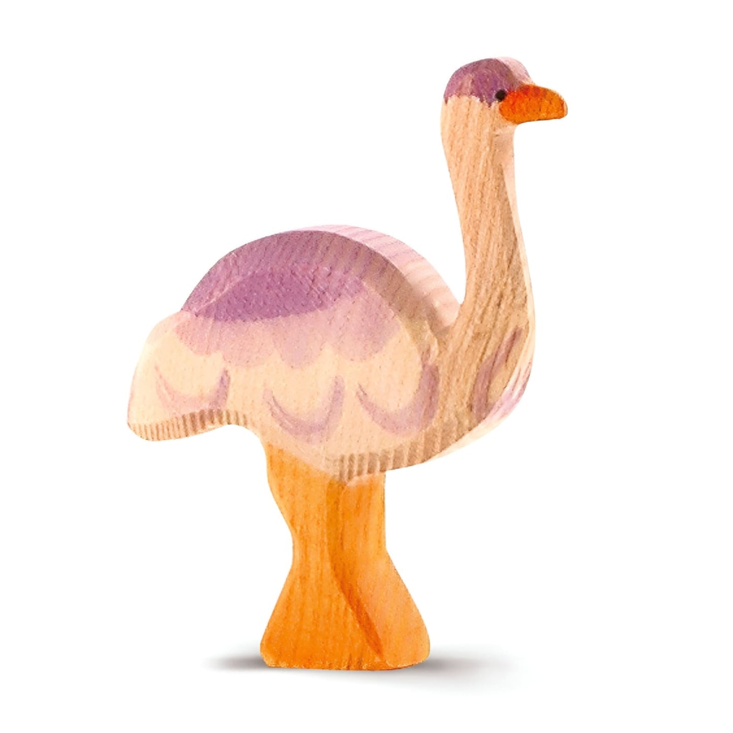 Vogel Strauß, Ostheimer 2053