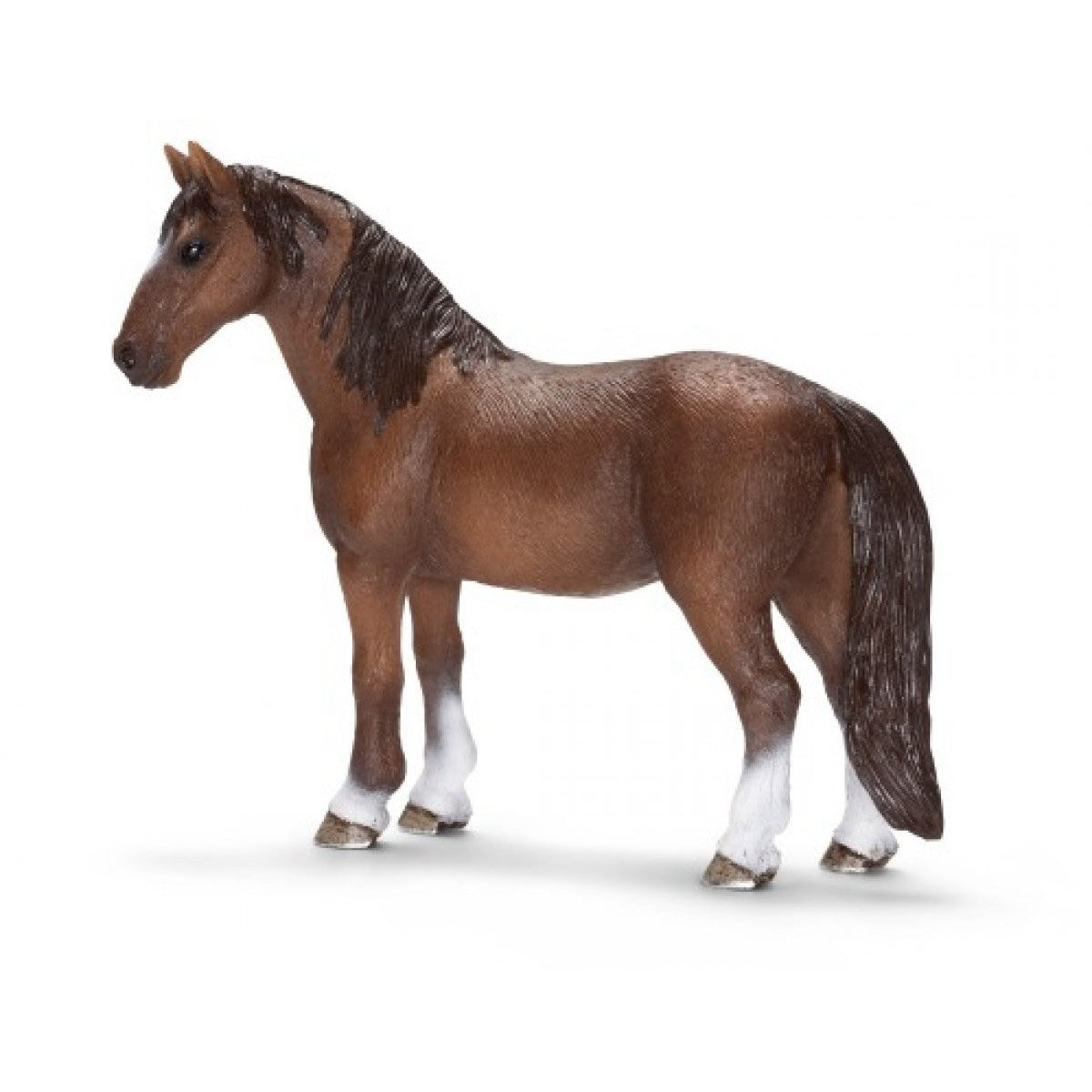 Tennessee Walker Stute, Scheich 13713