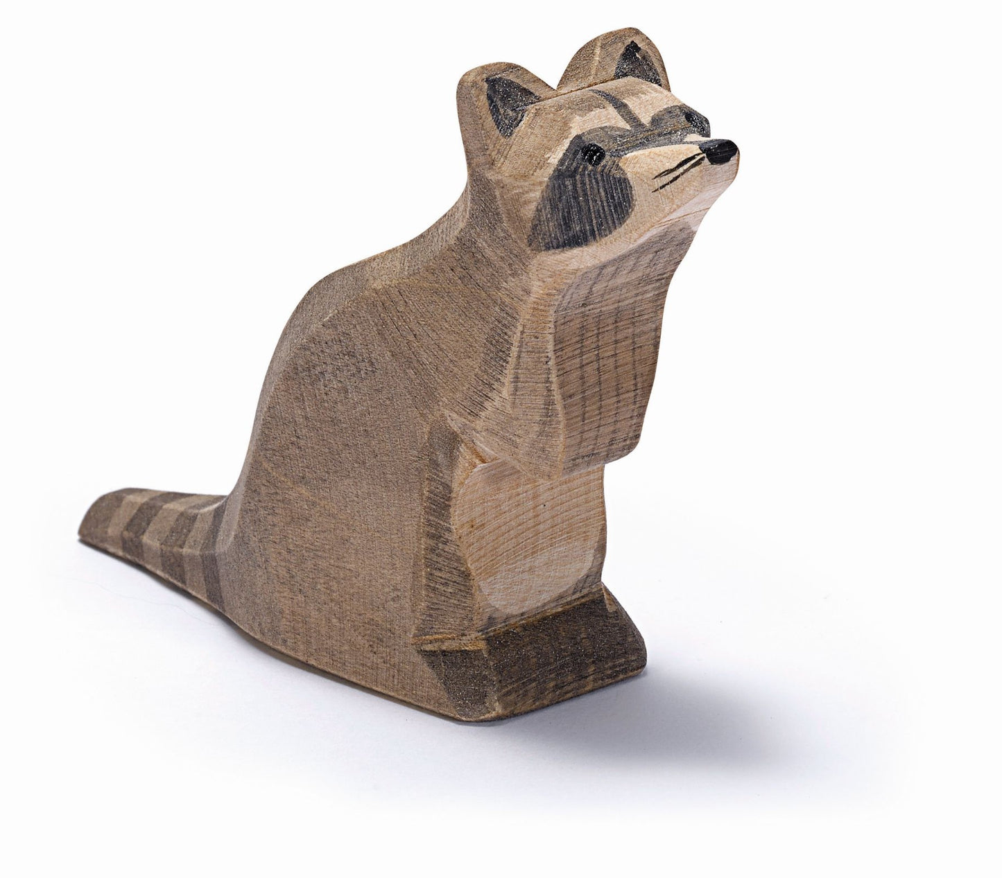 Waschbär sitzend,Ostheimer 16271