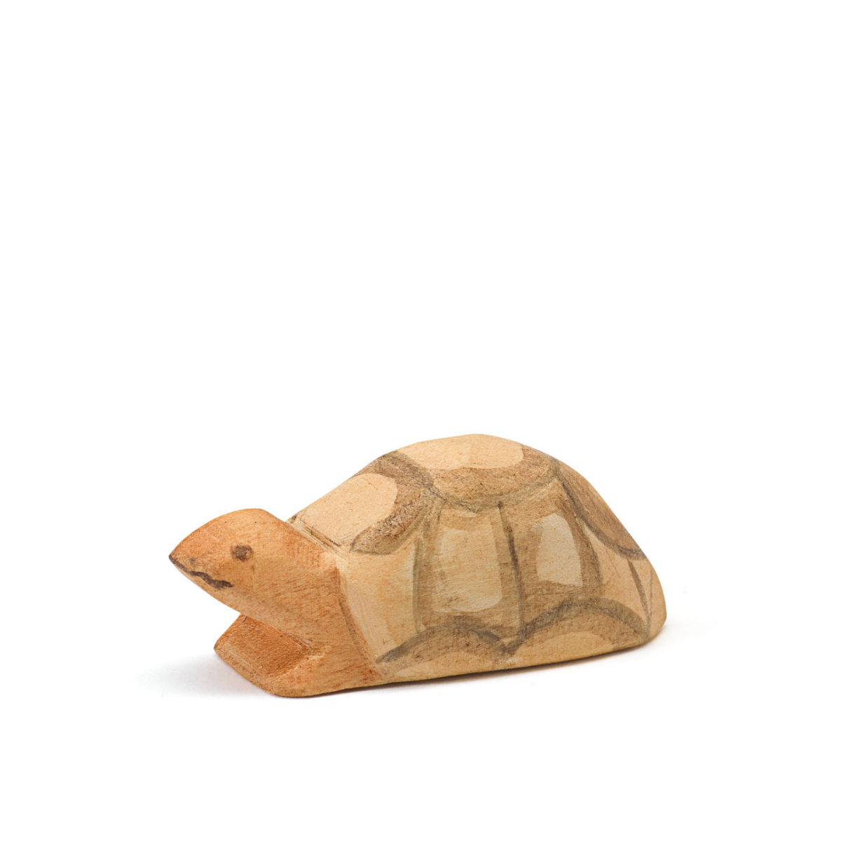 Schildkröte klein, Ostheimer 20832