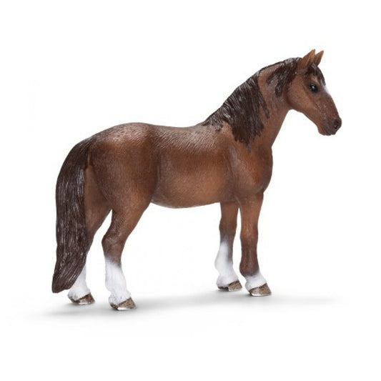 Tennessee Walker Stute, Scheich 13713